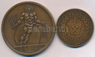 Borsos Miklós (1906-1990) 1980. "Fiziológiai Tudományok XXVIII. Nemzetközi Kongresszusa Budapes...