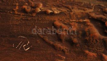 Tóth Rozália (1946-2015): Tanya. Olaj- gipsz, farost, jelzett, keretben, 10×19  cm