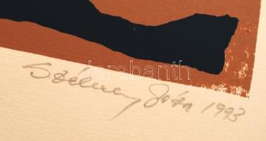 Székely Géza (1958-): Lélekmadár. Szitanyomat (XXI/XXV), papír, jelzett,  40×27 cm