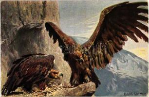 Eagle, Raphael Tuck & Sons Oilette Serie Adler No. 584 B. s: Hans Schmidt