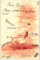 1899 Bird greeting art postcard, Theo. Stroefers Kunstverlag Monotint-Postkarte Serie III. No. 5184. litho