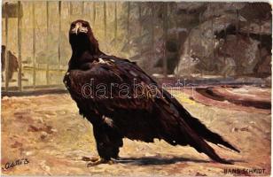 Eagle, Raphael Tuck & Sons Oilette Serie Adler No. 584 B. s: Hans Schmidt (EK)