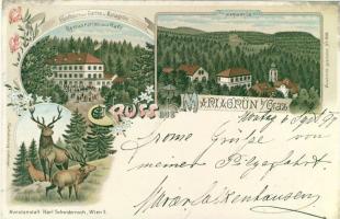 1899 Mariagrün b. Graz Litho