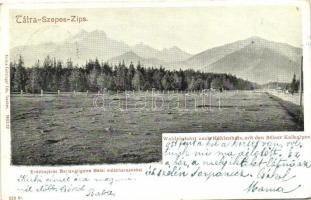 Tátra, Barlangliget, Höhlenhain, Tatranská Kotlina; Erdőbejárás Barlangligetre a Bélai mészhavasokkal, kiadja Feitzinger Ede 1902/12. / forest driveway to Tatranská Kotlina with mountain range (EB)