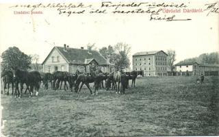 Dárda, Darda; Uradalmi puszta, a ménes lovai, kiadja Arady Lajos könyvnyomdász- és könyvkereskedő / estate, horse herd (kopott sarok / worn edge)