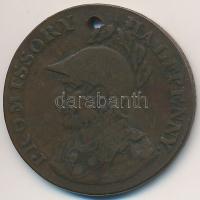 Nagy-Britannia / Hampshire 1894. 1/2P Cu zseton T:3 lyuk Great Britain / Hampshire 1894. 1/2 Penny Cu token C:F hole