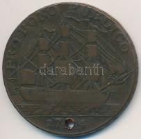 Nagy-Britannia / Hampshire 1894. 1/2P Cu zseton T:3 lyuk
Great Britain / Hampshire 1894. 1/2 Penny ...