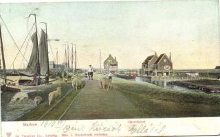 Marken, Havenbuurt / port neighborhood, sheep, sailing ships