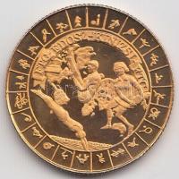 Bognár György (1944-) 1995. "MÉE - Ferencvárosi Torna Club FTC VI." fényezett Br emlékérem...