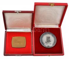 1967. "Nemzetközi Turista Év / Congres F.I.J.E.T." Br plakett eredeti tokban (49x59mm) + ~...