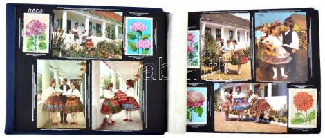 ~203 db MODERN, színes, motívum képeslap, kék színű albumba ragasztva, folklór és virág motívumok, a...