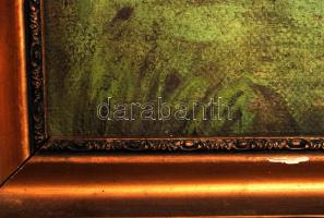 Kernstock jelzéssel: Patakparton. Olaj, vászon, fa keretben, 40x52 cm