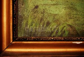 Kernstock jelzéssel: Patakparton. Olaj, vászon, fa keretben, 40x52 cm