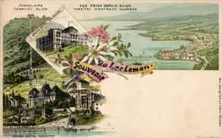Lac Leman, Grand Hotel de Caux, Grand Hotel Territet, floral litho