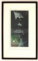 Floris András (1948 -): Holdfényben II. Színezett akvatinta, papír, jelzett, üvegezett keretben, 31×16 cm