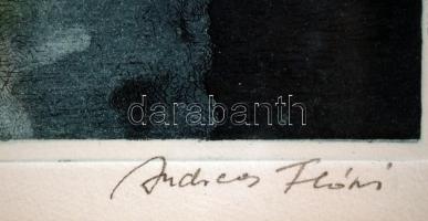 Floris András (1948 -): Holdfényben II. Színezett akvatinta, papír, jelzett, üvegezett keretben, 31×...