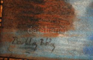 Olvashatatlan jelzéssel: Tó part. Pasztell, papír, keretben, 25×34 cm