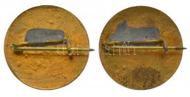 DN " B és C vitorlázórepülő vizsgajelvény" zománcozott fém jelvények (2x) T:2