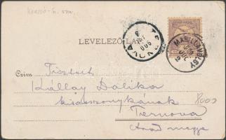 Marilla, Gyógyintézet, Gross Gyula áruháza; Gross Gyula tulajdona / spa, shop, Art Nouveau (EK)