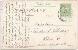 Nagyszentmiklós, Sannicolau Mare; Fő utca, Gróf Nákó Sándor kastély. W. L. Bp. 2105. Wiener Náthán k...