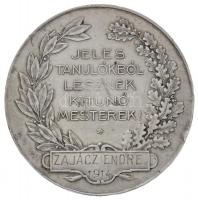 Löfkovits Arthur (1863-1935) 1914. "A Debreczeni Kereskedelmi és Iparkamara kitüntető érme / Je...