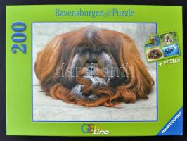 Orangután, 200 db-os puzzle, eredeti dobozában