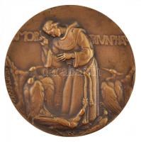 Olaszország 1926. "Assisi Szent Ferenc" Br emlékérem. Szign.: F. Sgarlata (70mm) T:2
Utal...