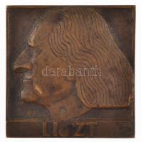 Beck Ötvös Fülöp (1873-1945) 1911. "Liszt / Musica infinita" Br plakett (66x64mm) T:2
HP ...