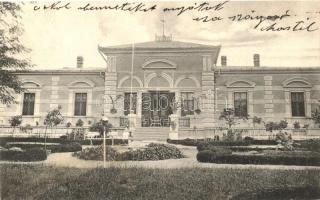 Törökszákos, Sacosu Turcesc; Győrössy-Csepreghy Istvánné úrilaka / villa, castle