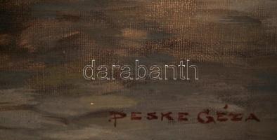 Peske Géza, (1859-1934): Hógolyózó fiú. Olaj, vászon, jelzett, keretben, 70×50 cm