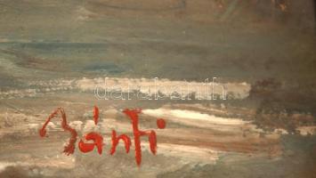 Bánfi jelzéssel: Vitorlás a Balatonnál. Olaj, karton, üvegezett keretben, 23×32 cm