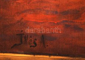 Illés jelzéssel: Káspi poni a lovasával. Olaj, vászon, jelzett, keretben, 100×67 cm