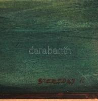 Szereday Ilona (1952-): Vízpart. Olaj, farost, jelzett, keretben, 37×50 cm