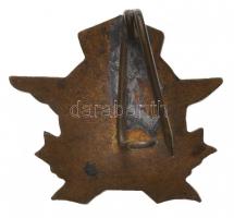 DN "Csepel 250 - Pannonia" zománcozott fém jelvény (19x17mm) T:2