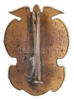 DN "A Magyar Szent Korona Országai Vasutas Szövetsége" zománcozott fém jelvény (31,5x23mm)...