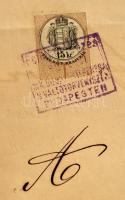 1882 Italmérési engedély Budapest főváros területén palackokbani boráruláshoz, okmánybélyeggel (15kr...