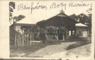 Bánháza (Fülöp), Bory-kúria, photo