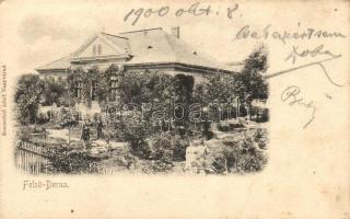 Felsőderna, Derna; Kastély, Sonnenfeld Adolf kiadása / villa