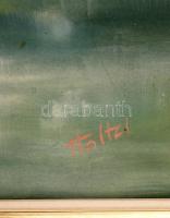 Holtz jelzéssel: Balatonakali part. Olaj, farost, keretben, 71×47 cm