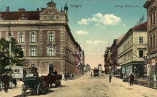 Szeged, Kálley Albert utca, villamos, lovaskocsi, Mayerferdi Manó és fia üzlete (EK)