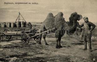 Man with camel, harnessed to a cart; Russian folklore (EK)