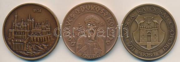 Csúcs Ferenc (1905-1999) 1974. "MÉE Budapest - Mátyás király / Buda" Br emlékérem (42,5mm)...