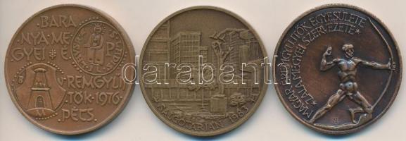 Nagy István (1920-) 1976. "Baranya megyei éremgyűjtők 1976. Pécs / 900 éves a Dukász korona&quo...