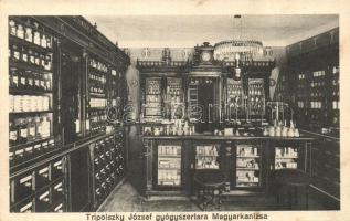 Magyarkanizsa, Stara Kanjiza; Tripolszky József gyógyszertára / pharmacy interior