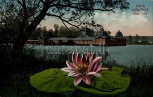 11 db RÉGI városképes képeslap, a történelmi Magyarország városai, vegyes minőség / 11 old town view...