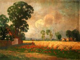 Kardos Gábor (1881-?): Pipacsszedő. Olaj, vászon, jelzett, tisztitásra szorul, keretben, 59×79 cm