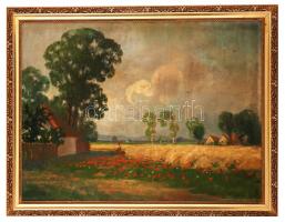 Kardos Gábor (1881-?): Pipacsszedő. Olaj, vászon, jelzett, tisztitásra szorul, keretben, 59×79 cm