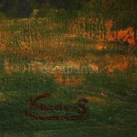 Kardos Gábor (1881-?): Pipacsszedő. Olaj, vászon, jelzett, tisztitásra szorul, keretben, 59×79 cm