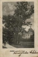 13 db RÉGI városképes képeslap a történelmi Magyarország területéről, két fotólappal, vegyes minőség...