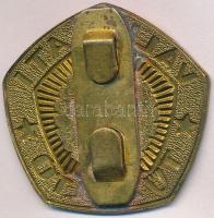 ~1970-1980. "Vállalati Tűzoltó" fém jelvény T:1